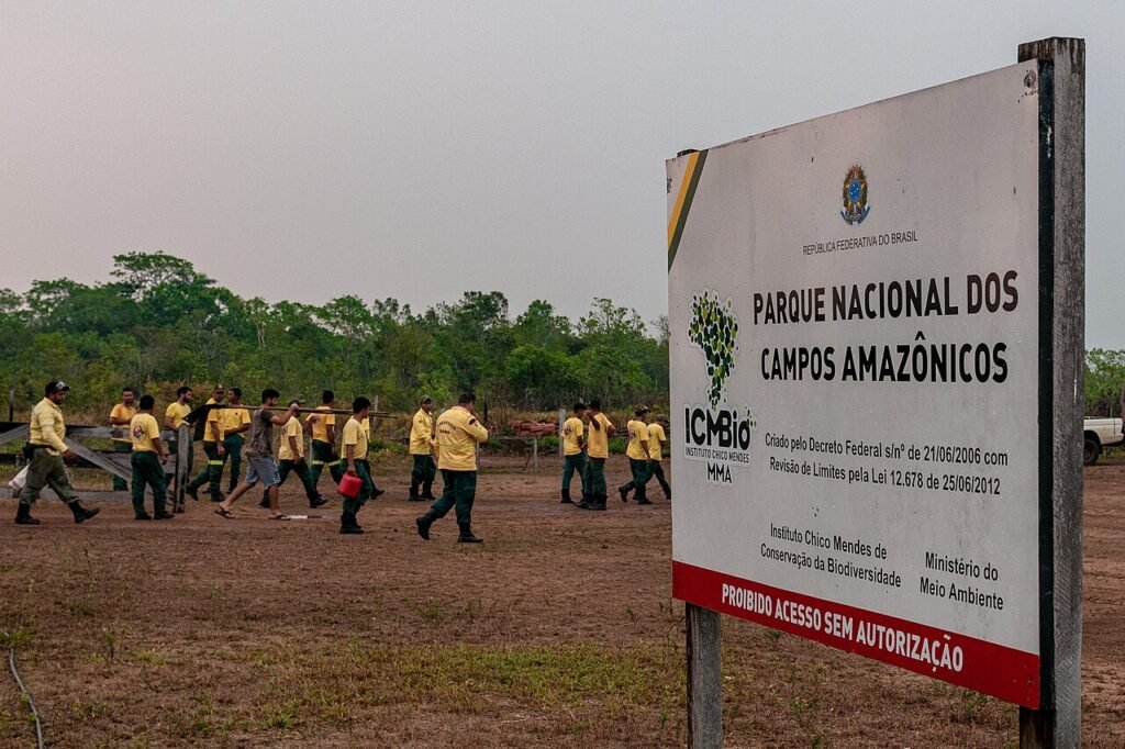 Brigadistas do Ibama combatendo incêndio em área de floresta no Amazonas