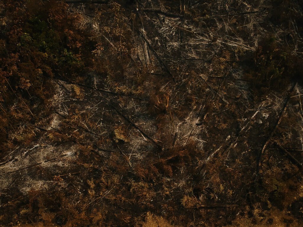 Área de floresta derrubada e queimada em Apuí, no Amazonas
