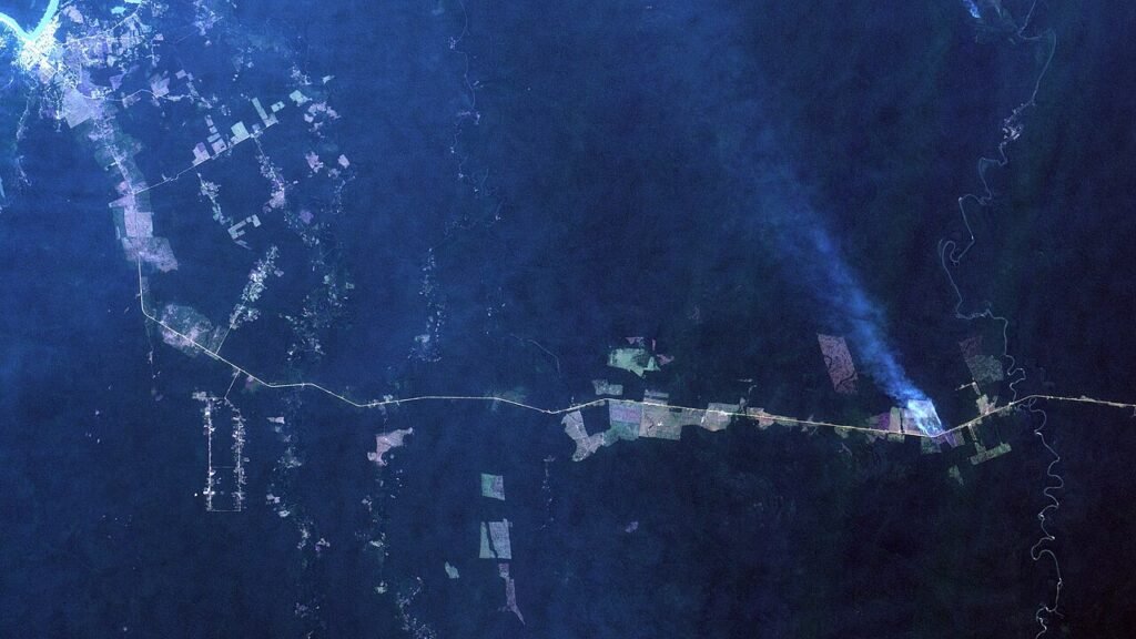 Queimada em área de floresta em Canutama, no Amazonas
