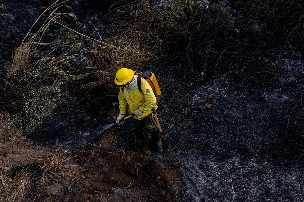 Brigadista do Ibama em combate a incêndio florestal (imagem ilustrativa)